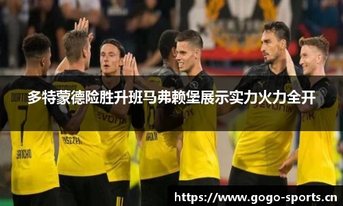 多特蒙德险胜升班马弗赖堡展示实力火力全开