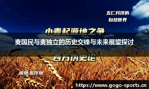 麦国民与麦独立的历史交锋与未来展望探讨